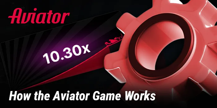 Gameplay Mechanics of the Online Game Aviator”